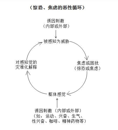 惊恐焦虑的恶性循环.jpg